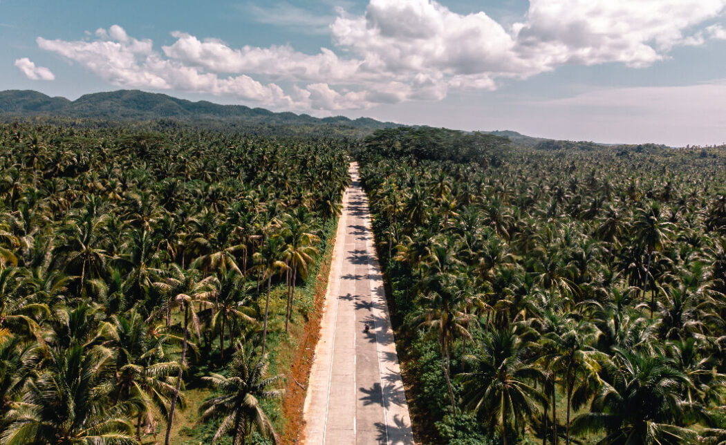 Coconut Road Siargao