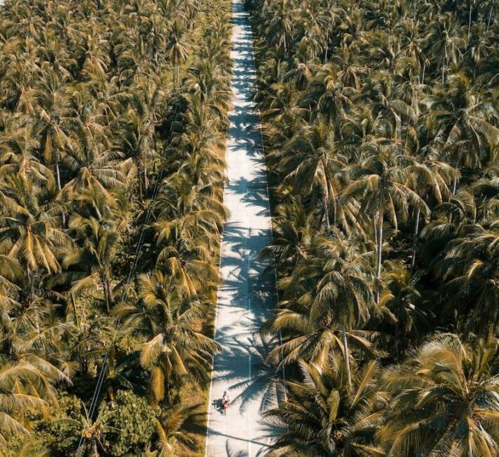 Coconut Road Siargao