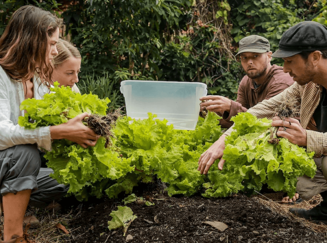 Permaculture Course at Granja Tzi'kin Tzununa