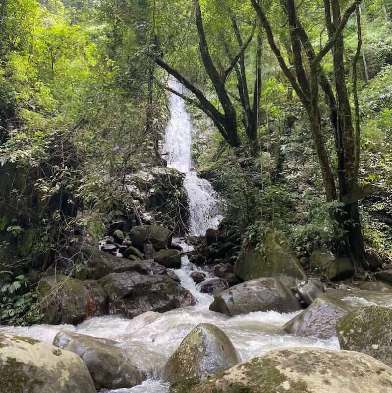 Cascada Escondida Minca