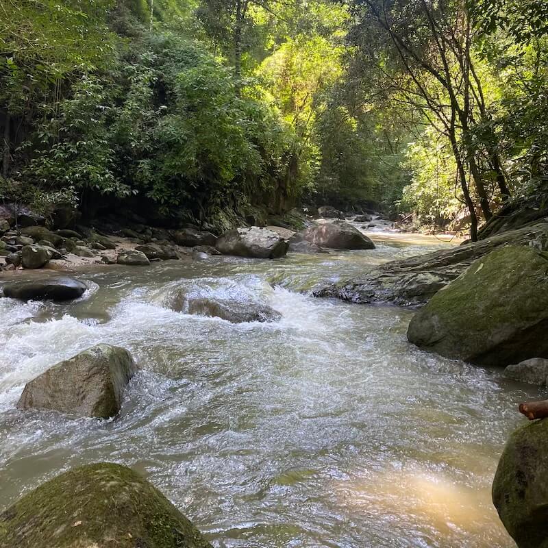 Cascada Escondida Minca
