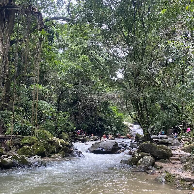 Foliage surrounding Pozo Azul Minca