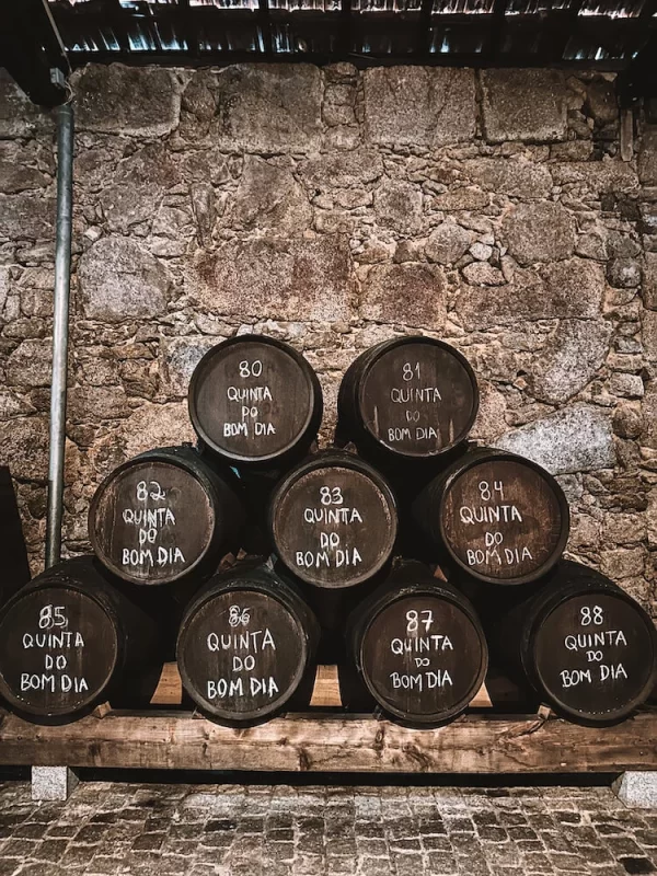 Unique Things To Do in Porto - Wine Cellars