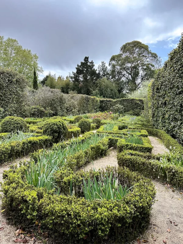 Non Touristy Things To Do in Porto - Botanical Gardens