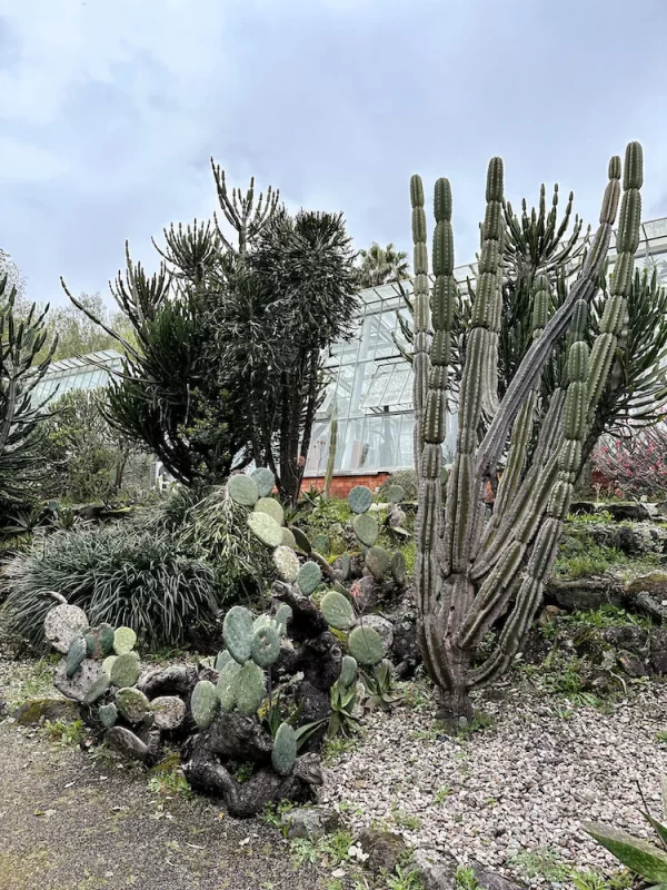Non Touristy Things To Do in Porto - Botanical Gardens