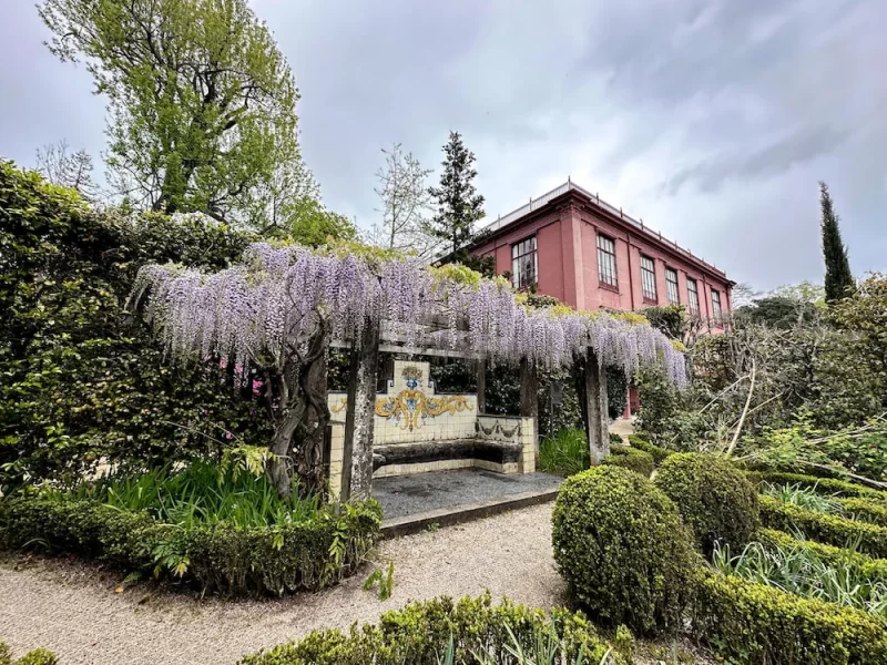 Non Touristy Things To Do in Porto - Botanical Gardens
