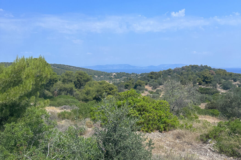 Day Trip From Athens to Aegina