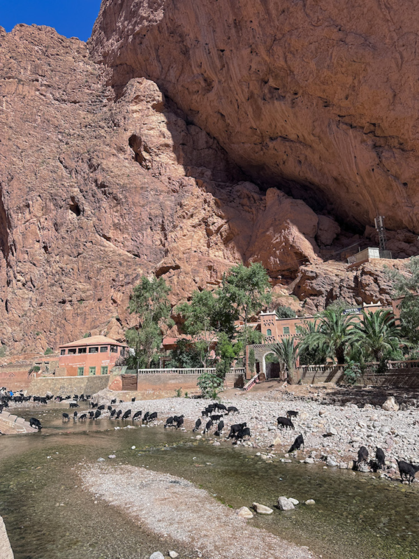 3 Days Tour From Marrakech to Fes - Todgha Canyon