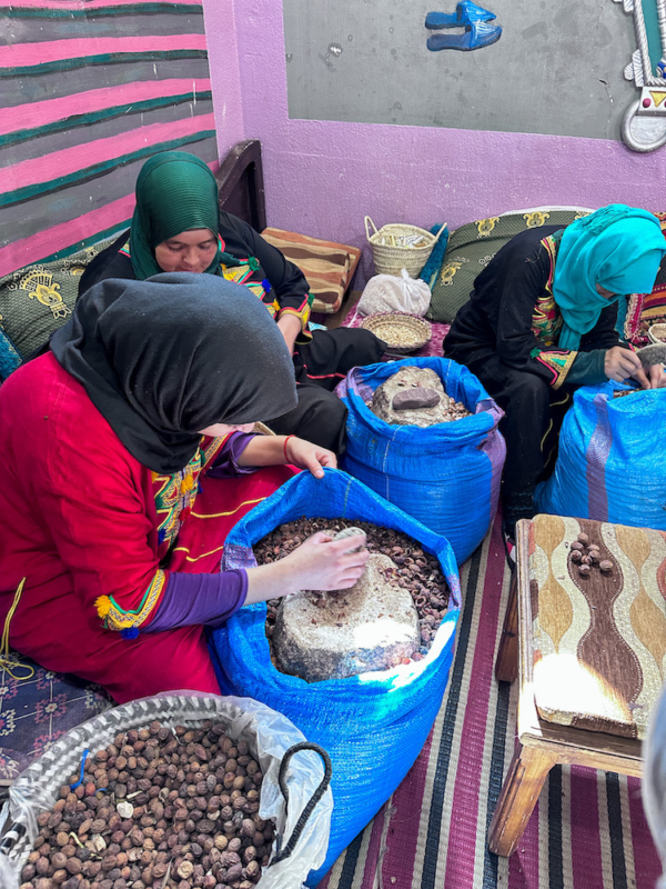 Marrakech to Fes 3 Day Tour - Argan Oil Cooperative