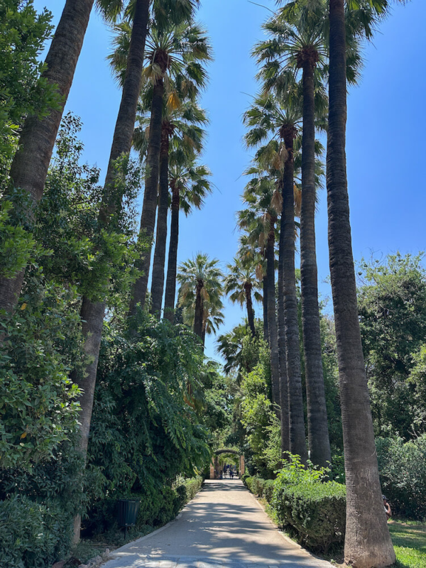 Visiting the National Garden on Your 1 Day Athens Itinerary