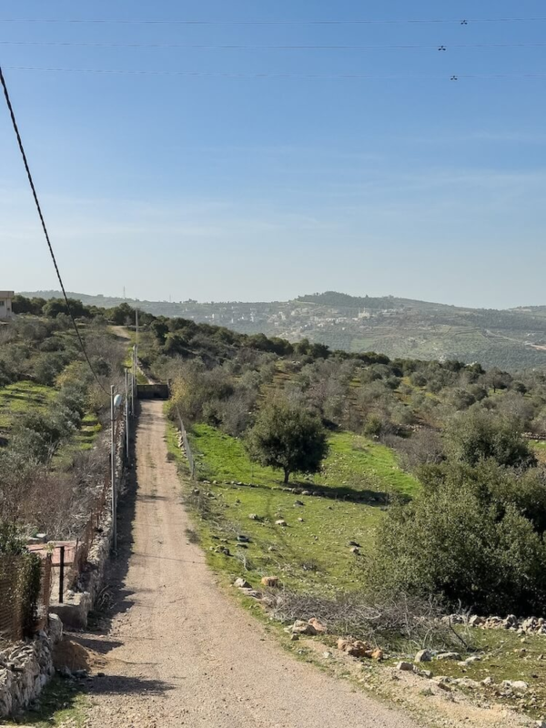 Things to do in Ajlun