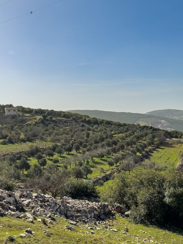 Things to do in Ajlun