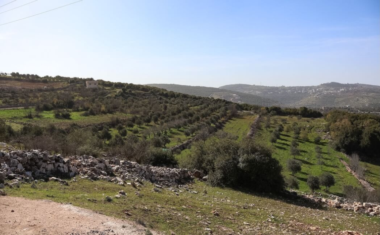 Things To Do in Ajloun, Jordan