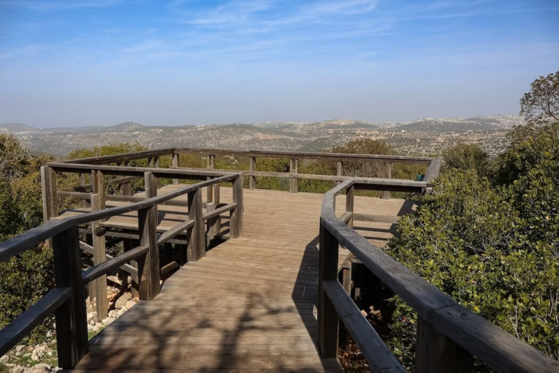 Things To Do in Ajloun Forest Reserve
