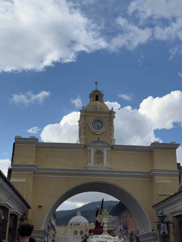 BNESIM eSIM: Antigua